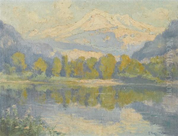 Sommerliche Ansicht Des Mont-blanc - view 1
