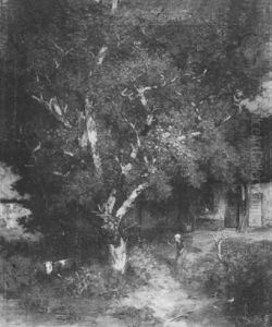 Ferme Dans Les Bois