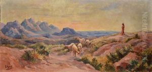 Berger Et Ses Moutons Vers L'atlas