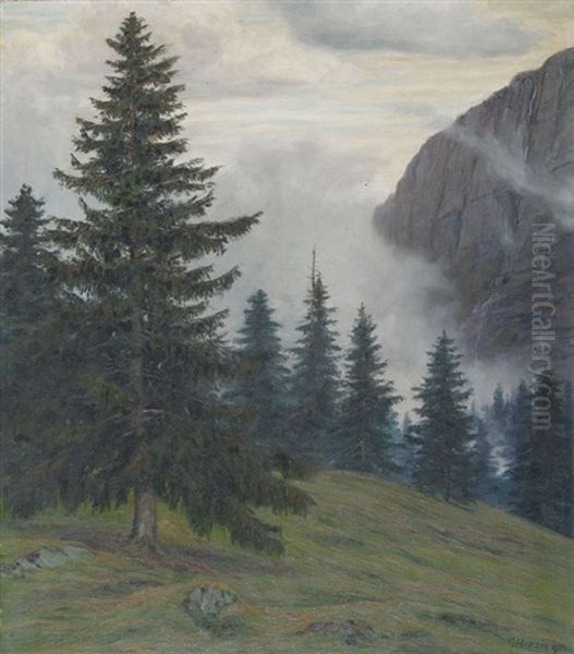 Waldhang Im Gebirge - view 1