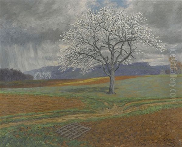 Bluhender Obstbaum - view 1