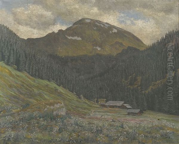 Rauflihorn - view 1