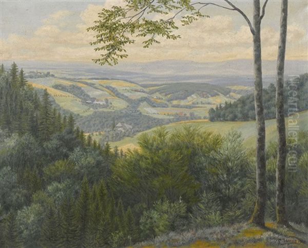 Wynigerberge - view 1