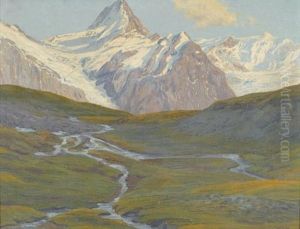 Alpwiese Im Gebirge