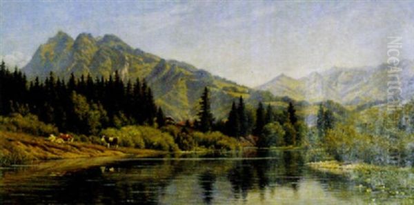 Vieh Am See - view 1