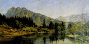Vieh Am See