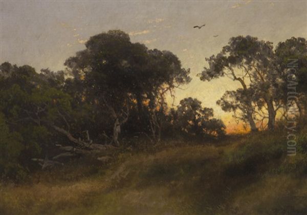 The Oaks At Sunset, Florida - view 1