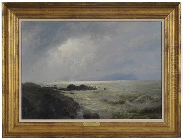 Maine Coast - view 1