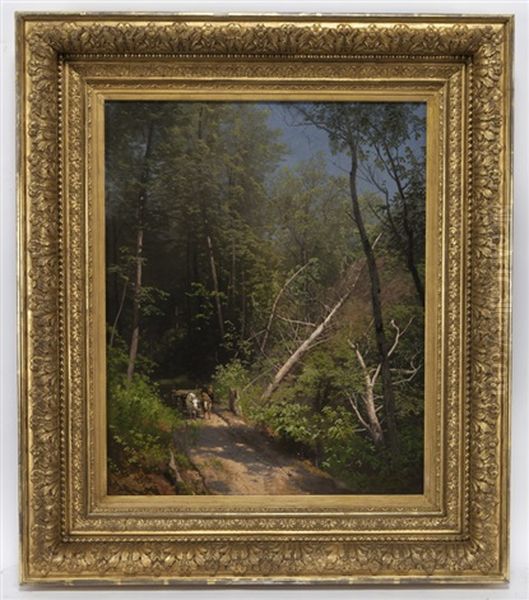 In The Woods - view 1