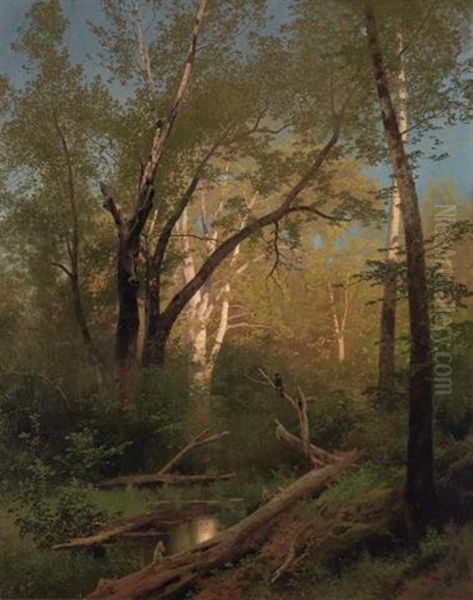 Wooded Landscape With Pool - view 1