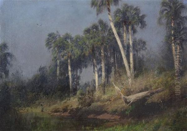 Florida Landscape - view 1