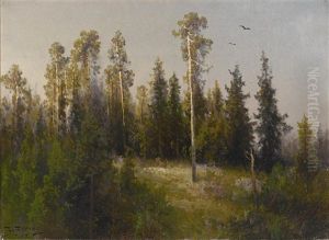 Group Of Pine Trees