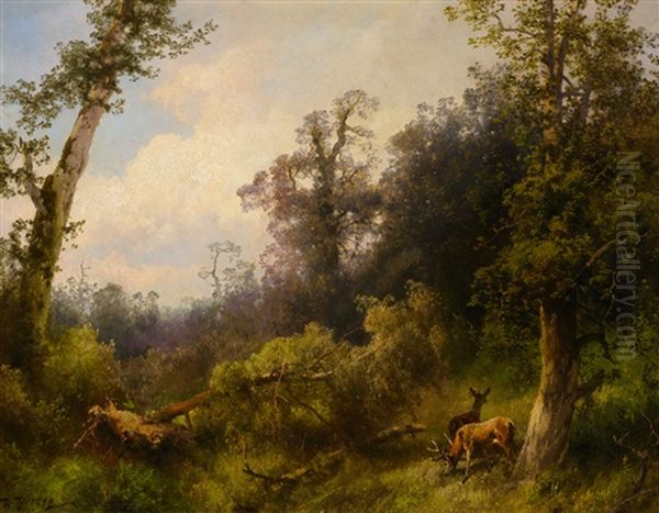 Deer In The Forest - view 1