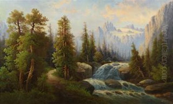 River Rapids Through The Mountain Forest - view 1