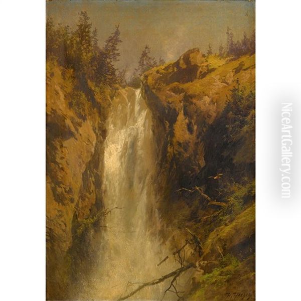 Waterfall, Germany - view 1