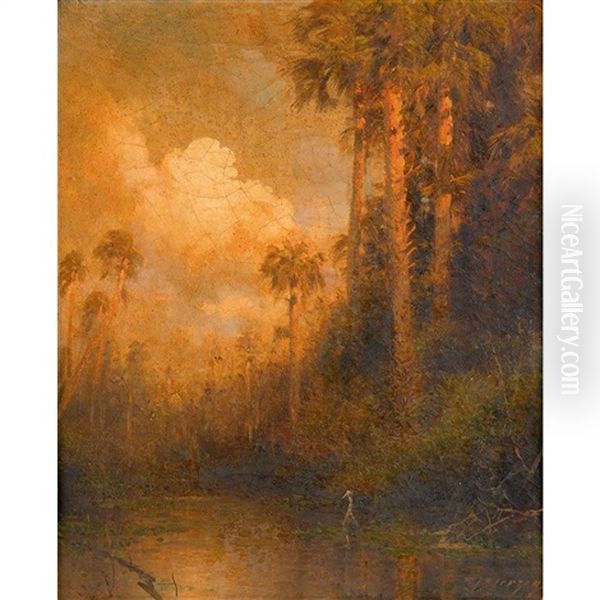 River Landscape With Palm Trees - view 1