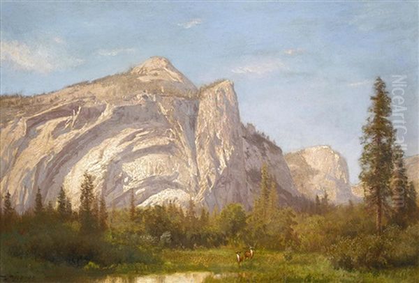 Golden Buttes, Yosemite - view 1