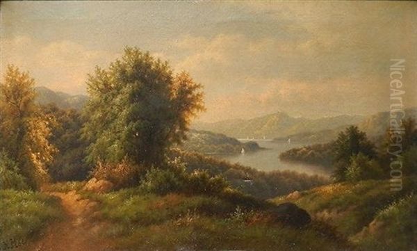 Summer Landscape With River And Sailboats In The Distance - view 1