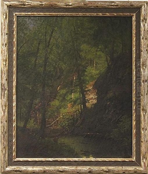 Forest Interior With Deer - view 1