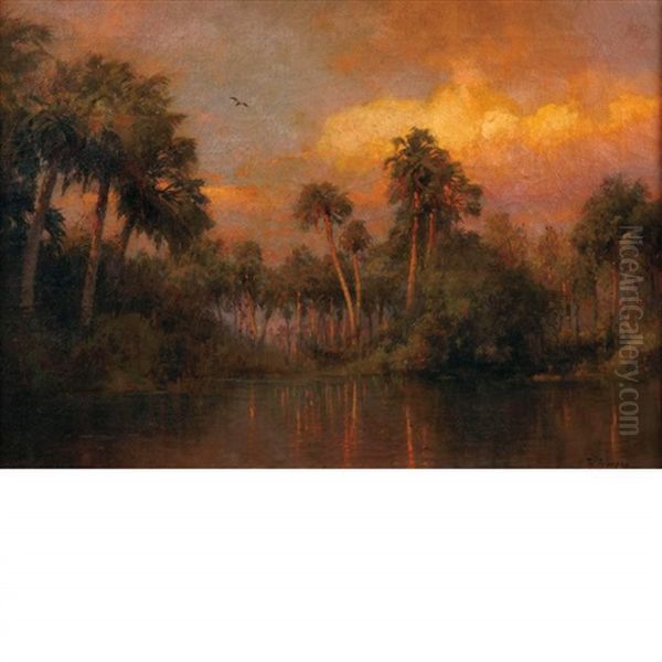 Sunset In The Florida Everglades - view 1