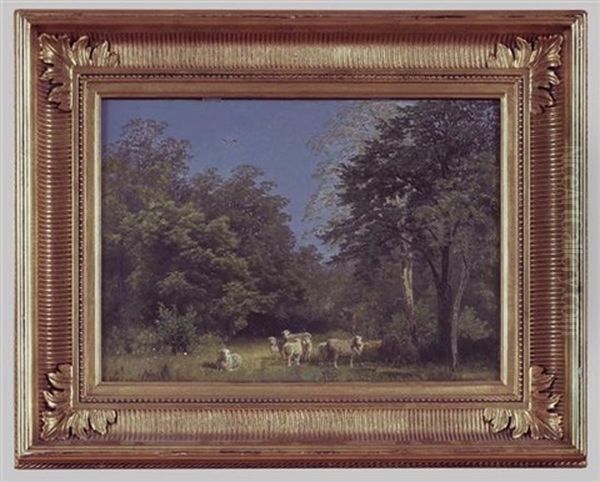Sheep In A Forest Glade - view 1