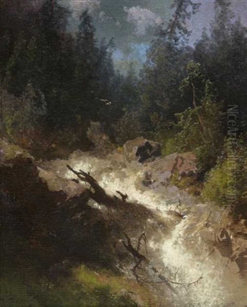 Rushing Brook - view 1