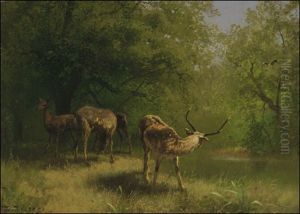 Feeding Grounds by Hermann Herzog