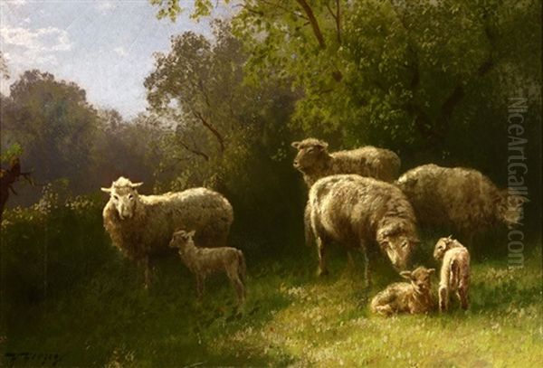 Flock Of Sheep With Lambs - view 1