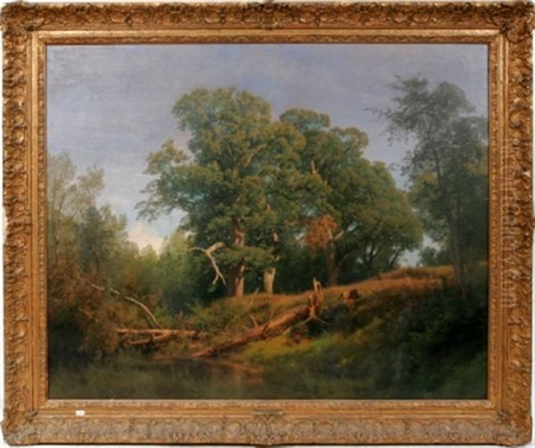 Landscape - view 1