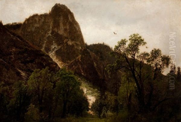 View Of Sentinel Rock, Yosemite - view 1