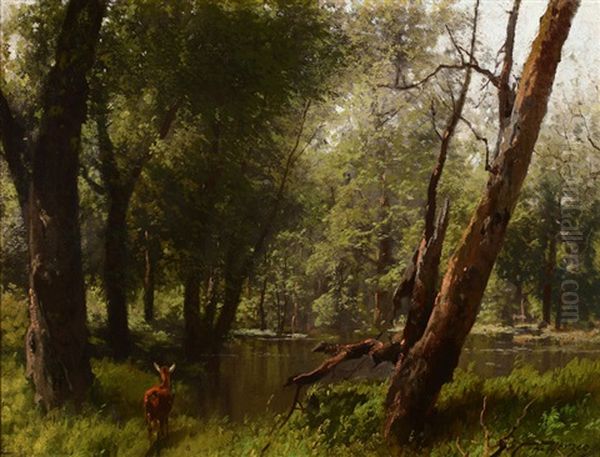 Woods Inundated With Deer - view 1