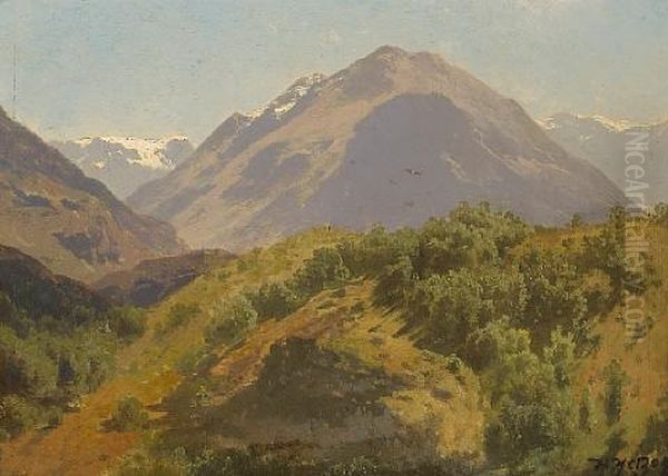 Extensive Majestic Landscape - view 1