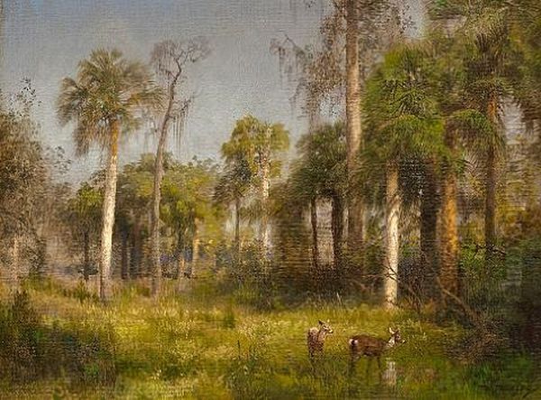 Florida Landscape - view 1