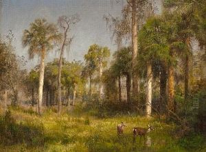 Florida Landscape