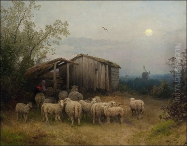 Waiting For The Shepherd - view 1
