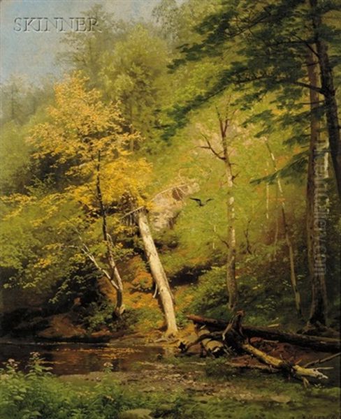 Adams Creek Near Liberty Falls - view 1