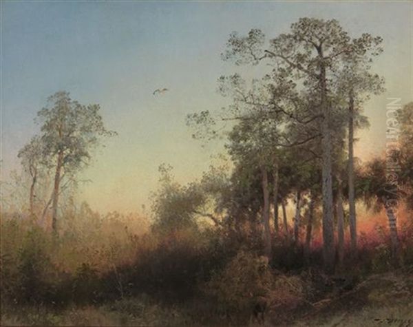 Sunset With Deer, Florida - view 1
