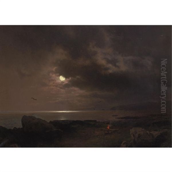A Bonfire In The Moonlight - view 1