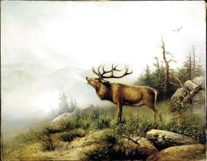 Elk In Landscape