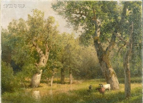 Cows Amidst Trees - view 1