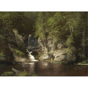 Woodland Pool