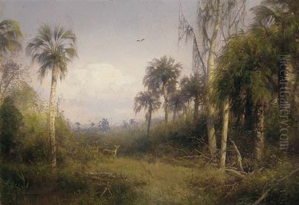 Florida Landscape - view 1