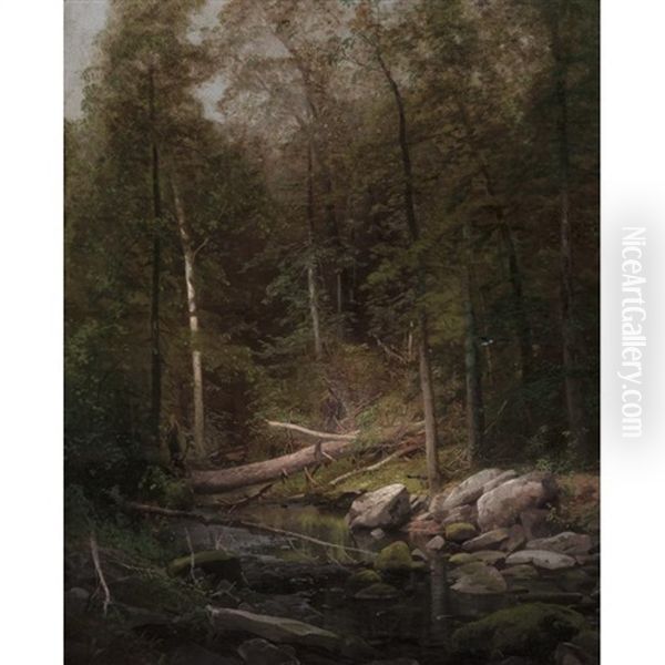 Rattlesnake Run - view 1