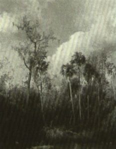 Florida Marsh Scene by Hermann Herzog