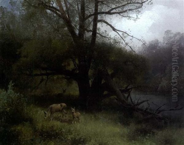 Deer Family - view 1