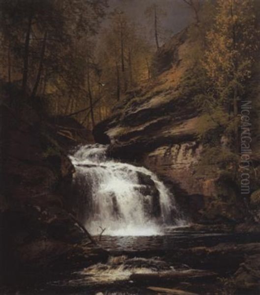 Forest Interior With Waterfall - view 1
