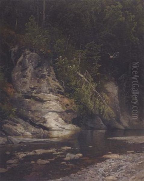 Eagle Above The River - view 1