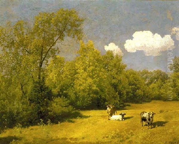 Afternoon Pasture - view 1