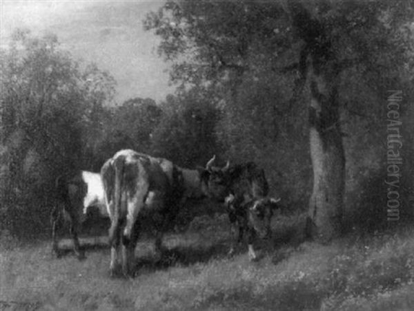 Cattle In The Woods - view 1