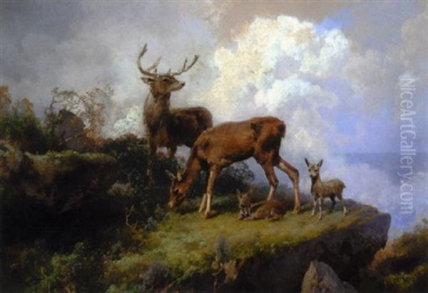 Deer On A Mountain Ledge - view 1
